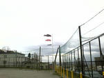 9ef5c554.jpg