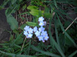04148f3e.jpg