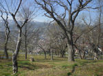 92c06746.JPG