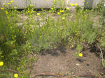 90f9f257.jpg
