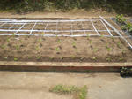 b2a93616.jpg