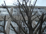CIMG4615.JPG