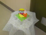 CIMG5218.JPG
