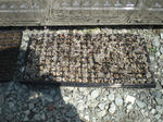 CIMG5320.JPG