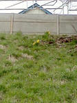 f402954b.jpg
