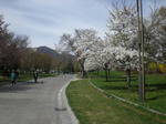 CIMG5440.JPG