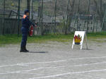 CIMG5464.JPG