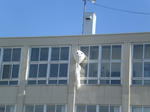 CIMG5517.JPG