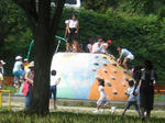 CIMG6473.JPG
