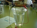 CIMG6505.JPG