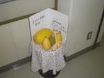 CIMG6650.JPG