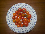 CIMG6672.JPG