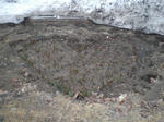 CIMG7670.JPG