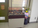 CIMG7834.JPG