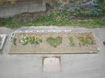 CIMG7865.JPG