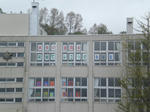 CIMG7890.JPG