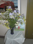 CIMG8090.JPG