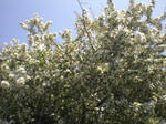 CIMG8089.JPG