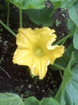 a92581ae.jpg