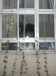 CIMG9104.JPG