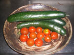 CIMG9109.JPG