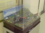 CIMG9161.JPG