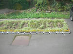 CIMG9174.JPG
