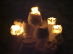 CIMG0409.JPG