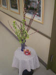 CIMG0612.JPG