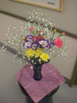 CIMG0715.JPG