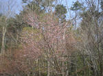 CIMG0928.JPG