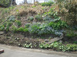 CIMG0945.JPG