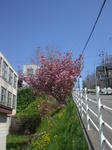 CIMG0969.JPG