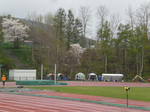 CIMG0954.JPG