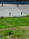 CIMG0968.JPG