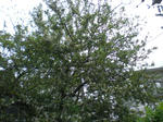 CIMG1123.JPG