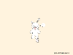 壁紙2