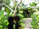 bali1-438.jpg