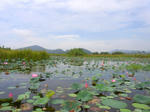 hokkaido2010-115.jpg