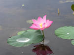 hokkaido2010-117.jpg