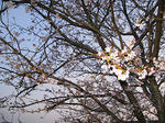 sIMG_0868.jpg