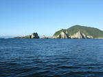 sIMG_1458.jpg