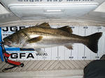 sPB020072.jpg
