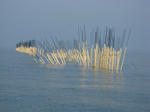sIMG_3157.jpg