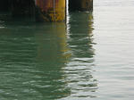 sIMG_3164.jpg