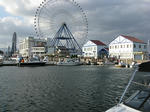 ssIMG_4050.jpg