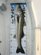 sIMG_4105.jpg