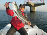 sIMG_4106.jpg
