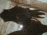 ssPB220043.jpg