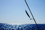 IMG_1153.JPG